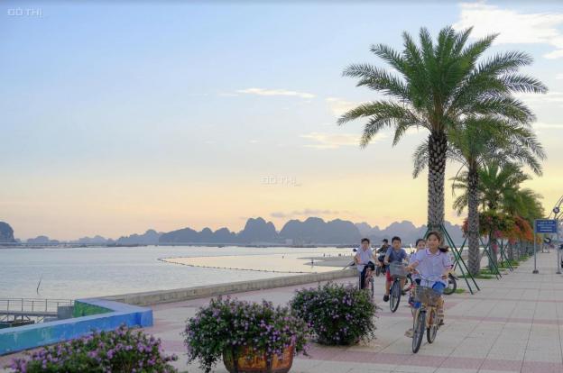 Ra hàng quỹ căn đẹp nhất tp Cẩm Phả, Green Dragon City cách bãi biển chỉ 50m, trực tiếp chủ đầu tư 14154361