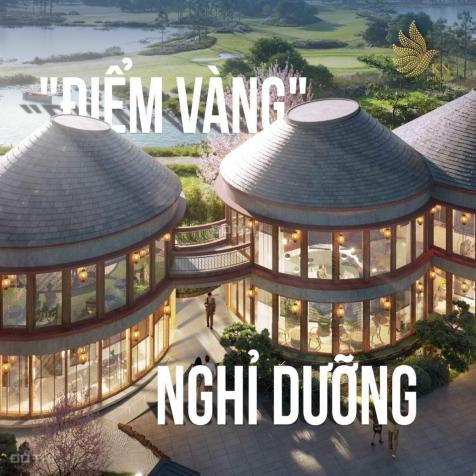 Siêu dự án The Shirin Mansions Villa dấu ấn vĩnh cửu điểm đến mới của thế giới tại Vịnh Cam Ranh 14154966