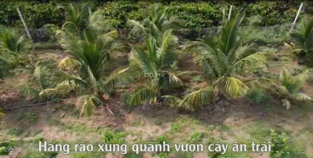 Cực hiếm chính chủ bán đất tại xã Diên Bình Huyện Đăk Tô Kon Tum 14155341