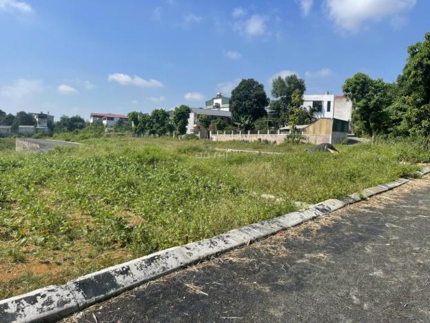 Bán đất tại Xã Hạ Bằng, Thạch Thất, Hà Nội diện tích 76.5m2 giá 24 triệu/m2 14157349