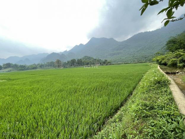 Bán 2000m2 đất ở + vườn tại Lạc Sơn, Hòa Bình giá chỉ 350k/m2. View cánh đồng đẹp không điểm chê 14158005