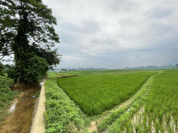 Bán 2000m2 đất ở + vườn tại Lạc Sơn, Hòa Bình giá chỉ 350k/m2. View cánh đồng đẹp không điểm chê 14158005