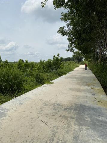 Bán đất Định Quán DT 763 Xã Suối Nho Giảm ngay 500 triệu 14082900