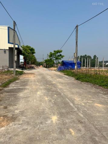 Bán đất tại Xã Đồng Ích, Lập Thạch, Vĩnh Phúc diện tích 160m2 giá 1.55 tỷ 14160897