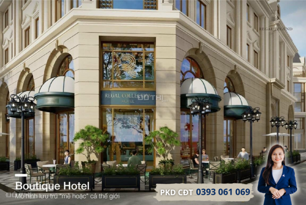Sở hữu Boutique hotel đầu tiên tại Quảng Bình với 4,2 tỷ - Sổ hồng vĩnh viễn-Khai thác ngay Q1/2023 14162374