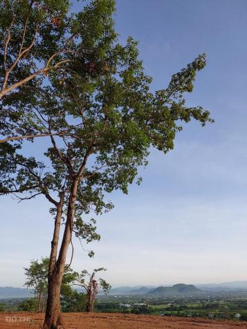 Cần bán đất núi Tazon vị trí có một không hai, đất núi hai mặt đường gần sân bay Phan Thiết 14162996