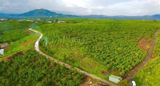 Bán đất tại đường Nguyễn Văn Cừ, Xã Đam Bri, Bảo Lộc, Lâm Đồng diện tích 165m2 giá 750 triệu 14170034