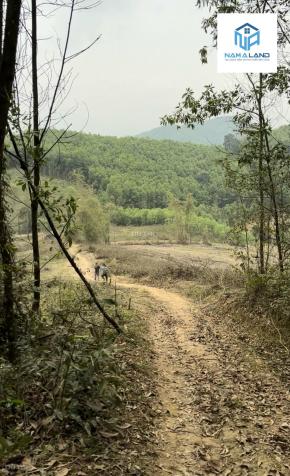 Cần bán 2,6ha đất rừng sản xuất giá rẻ chỉ 1,8 tỉ đồng tại huyện Lương Sơn Tỉnh Hoà Bình 14178259