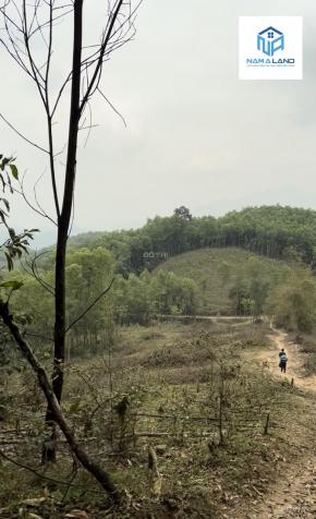 Cần bán 2,6ha đất rừng sản xuất giá rẻ chỉ 1,8 tỉ đồng tại huyện Lương Sơn Tỉnh Hoà Bình 14178259