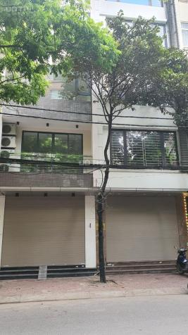 Cần bán gấp nhà mặt phố Mai Dịch, 55m2, 6 tầng thang máy 14178848