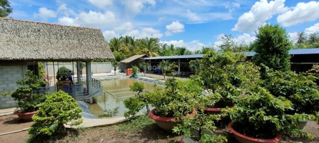 Bán 1 công đất vườn ngang rộng 30m, đã làm nhà vườn sinh thái, đường xe 5 tấn, cách Quốc lộ 700m 14181500