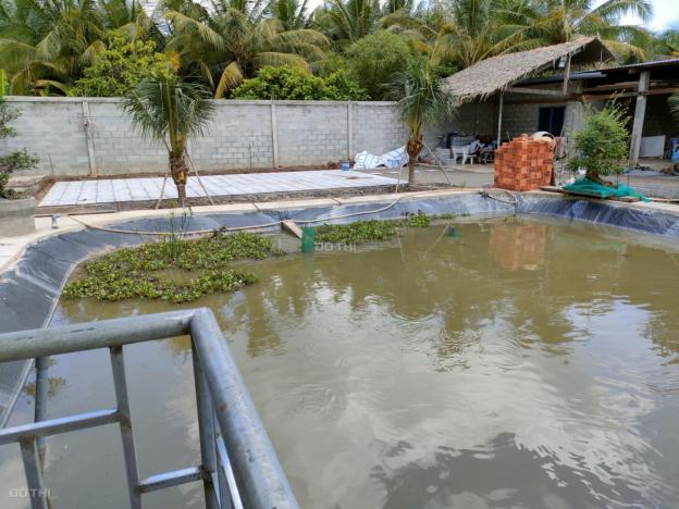 Bán 1 công đất vườn ngang rộng 30m, đã làm nhà vườn sinh thái, đường xe 5 tấn, cách Quốc lộ 700m 14181500