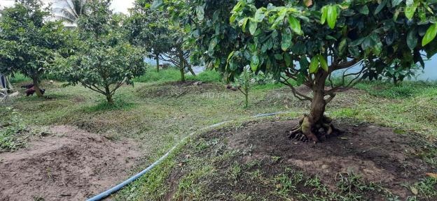 Bán 1 công đất vườn ngang rộng 30m, đã làm nhà vườn sinh thái, đường xe 5 tấn, cách Quốc lộ 700m 14181500