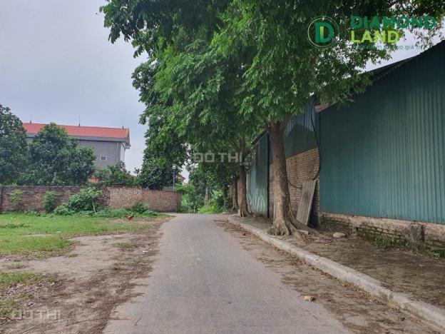 Bán đất tại đường 131, Xã Tiên Dược, Sóc Sơn, Hà Nội diện tích 100m2 giá 12 triệu/m2 14184697