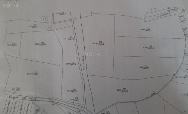 Cần bán lô đất lớn mặt tiền đường Tôn Thất Thuyết, huyện Bảo Lâm, Lâm Đồng 14185451