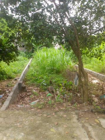 Cần chuyển nhượng gấp lô đất 100m2 giá mỳ gói tại Thị trấn Lương Sơn, Lương Sơn, Hòa Bình 14187060