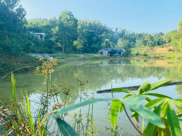 Chính chủ bán 2800m2 đất có ao giá rẻ tại xã Hòa Sơn Huyện Lương Sơn, tỉnh Hòa Bình 14190689