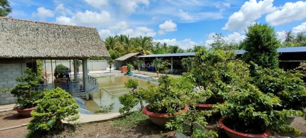 Bán đất vườn có nhà sinh thái 1350m2, Quốc Lộ 60 vừa qua cầu Rạch Miễu Bến Tre, giá 3.5tr/m2 14193168