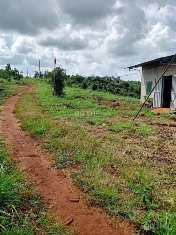 Cần bán 3,5ha đất giá rẻ xã Đắk Ha - Đăk Glong - Đắk Nông 14197611