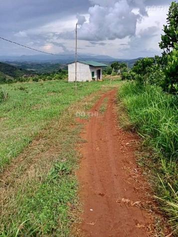 Cần bán 3,5ha đất giá rẻ xã Đắk Ha - Đăk Glong - Đắk Nông 14197611