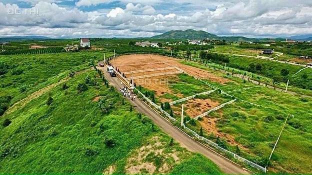 Đất nền biệt thự Bảo Lộc, diện tích 140 - 1583 m2, thổ cư 100 - 800 m2 14203412
