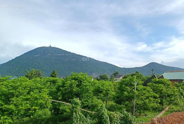 Bán đất tặng vườn cây ăn quả hơn 2000m2 cạnh núi Bà Đen tỉnh Tây Ninh 14205388