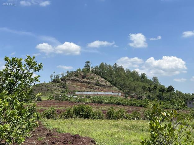 Bán 1 sào đất vườn phủ hồng, view đồi tại TP. Long Khánh - gần ngã 3 Xuân Tân 14212193