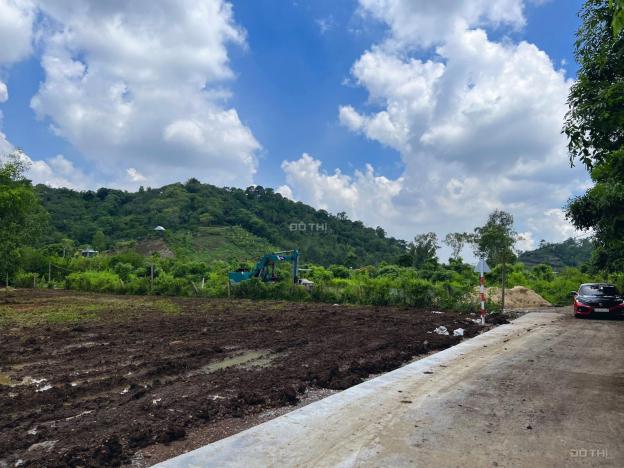 Bán lô đất vườn đã phủ hồng 100% gần ngã 3 Tân Phong - TP Long Khánh 14212205