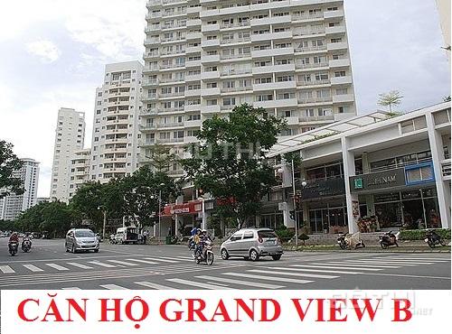 Bán căn hộ Grand View block A Phú Mỹ Hưng quận 7 đường Nguyễn Đức Cảnh 14214933