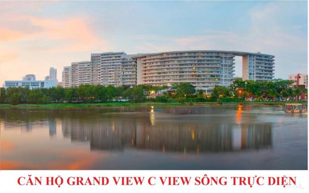 Bán căn hộ Grand View block C Phú Mỹ Hưng Quận 7 căn góc hướng sông và hồ bơi 14214940