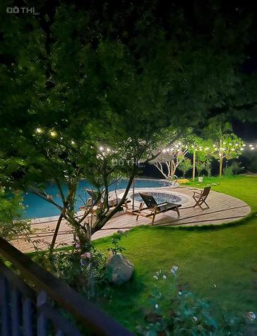 Siêu phẩm nghỉ dưỡng tặng nhà và biệt thự cùng bể bơi siêu đẹp có thể kinh doanh hoặc ở được ngay 14229785