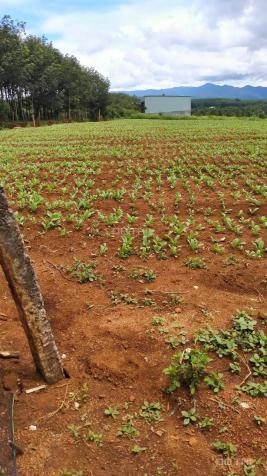 Đất vườn mặt tiền đường lên được thổ cư sổ hồng riêng giá chỉ 380k/m2 14231453