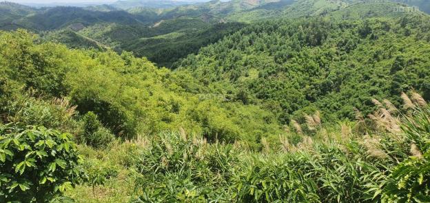 Chính chủ bán 52.000m2 đất giá f0 ngay gần QL684 - Đắk Ha - Đăk Glong 14241116