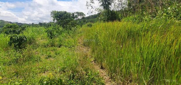 Chính chủ bán 52.000m2 đất giá f0 ngay gần QL684 - Đắk Ha - Đăk Glong 14241116