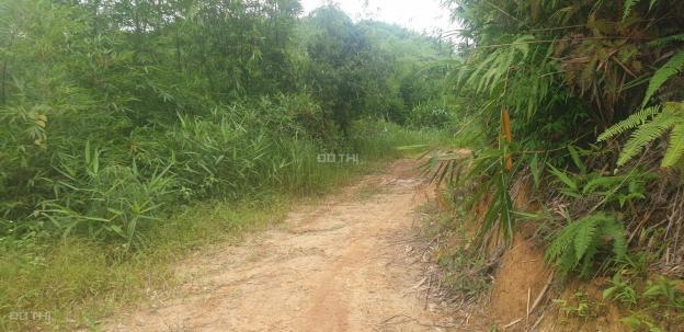 Chính chủ bán 52.000m2 đất giá f0 ngay gần QL684 - Đắk Ha - Đăk Glong 14241116