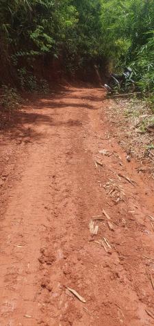 Chính chủ bán 52.000m2 đất giá f0 ngay gần QL684 - Đắk Ha - Đăk Glong 14241116