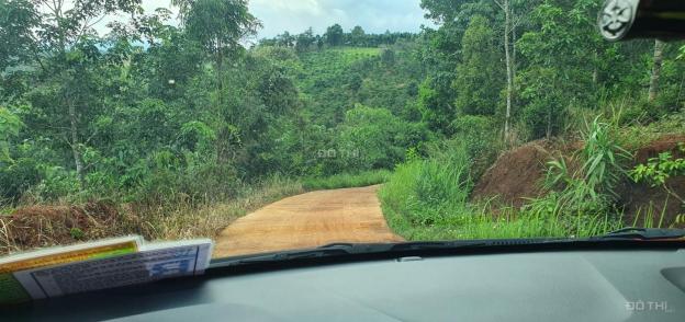 Chính chủ bán 52.000m2 đất giá f0 ngay gần QL684 - Đắk Ha - Đăk Glong 14241116