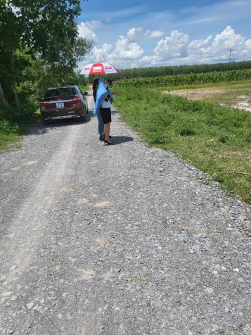 Bán đất Nhuận Đức Củ Chi LH: 0968.111.039 14241800