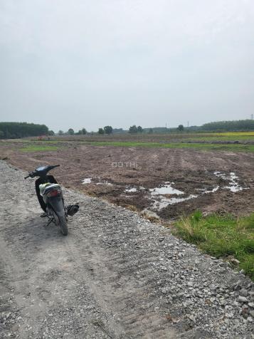 Bán đất Nhuận Đức Củ Chi LH: 0968.111.039 14241800