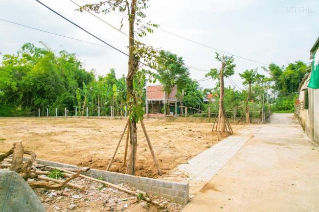 Chính chủ cần bán lô đất ở Đại An - Đại Lộc - Quảng Nam 14251488