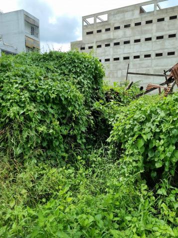 Lô đất lớn, view sông Sài Gòn, phù hợp xây dinh thự, cao ốc 14256247