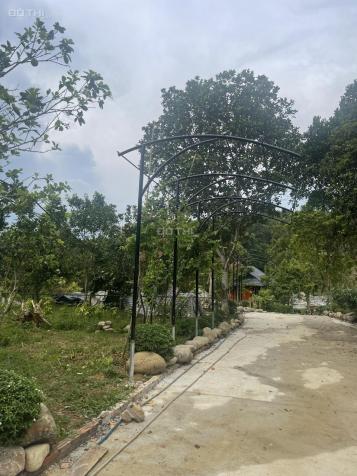 Cần bán khu resort nhà vườn nghỉ dưỡng gần 1 ha giá đầu tư tại xã Tiến Xuân, Thạch Thất, Hà Nội 14263795