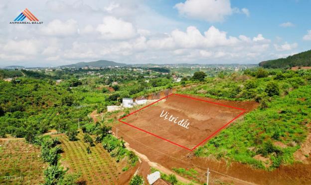 Lô đất thế dương gần trung tâm tiện ích thị trấn Nam Ban, Huyện Lâm Hà chỉ 3,6 tr/m2 14266449
