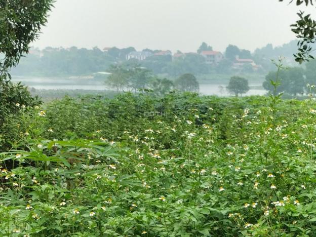 Bán quả đồi 1,6 ha view hồ sen, sát khu du lịch Đầm Long. Tại Sơn Đà, Ba Vì, Hà Nội 14269472