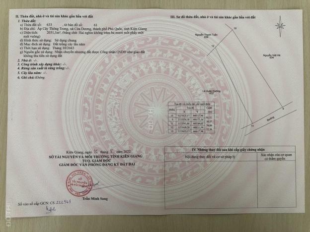 Giá rẻ giá rẻ nhất thị trường cần bán 2 công đất Ấp Cây Thông Trong, TP Phú Quốc, sổ hồng riêng 14269627