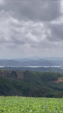 Đất view mênh mông sông nước - Xã Ninh Gia - Huyện Đức Trọng - Tỉnh Lâm Đồng 14272063