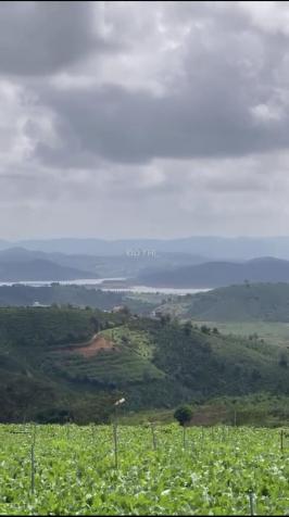 Đất view mênh mông sông nước - Xã Ninh Gia - Huyện Đức Trọng - Tỉnh Lâm Đồng 14272063
