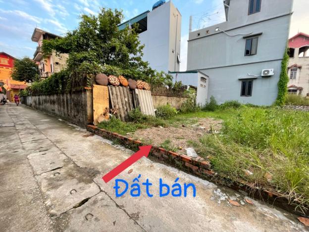 Bán gấp 50.4m2 Lực Canh Xuân Canh đường 3m ngõ thông thoáng 14275918