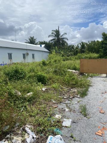 Chính chủ bán lô đất tại huyện An Biên, Tỉnh Kiên Giang 14276771