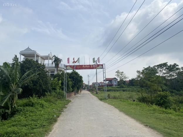 Bán đất tại Xã Tân Minh, Sóc Sơn, Hà Nội diện tích 534m2 giá 12.5 triệu/m2 14277042